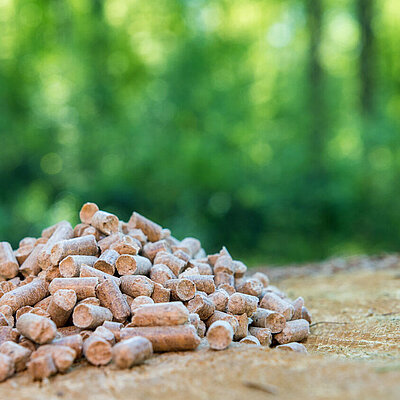 Natürlicher Bio Brennstoff Pellets